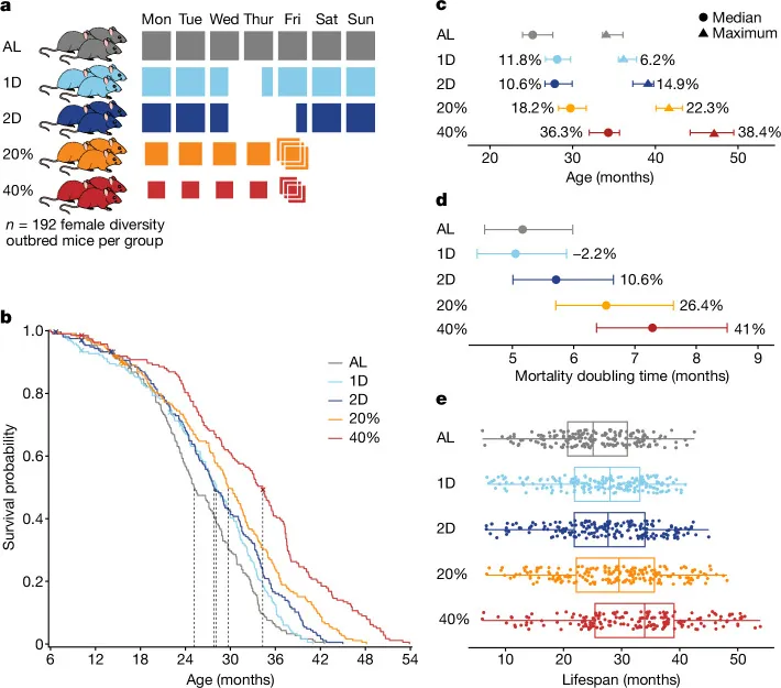 원문 그림 Fig. 1: Dietary restriction impacts health and lifespan of genetically diverse mice