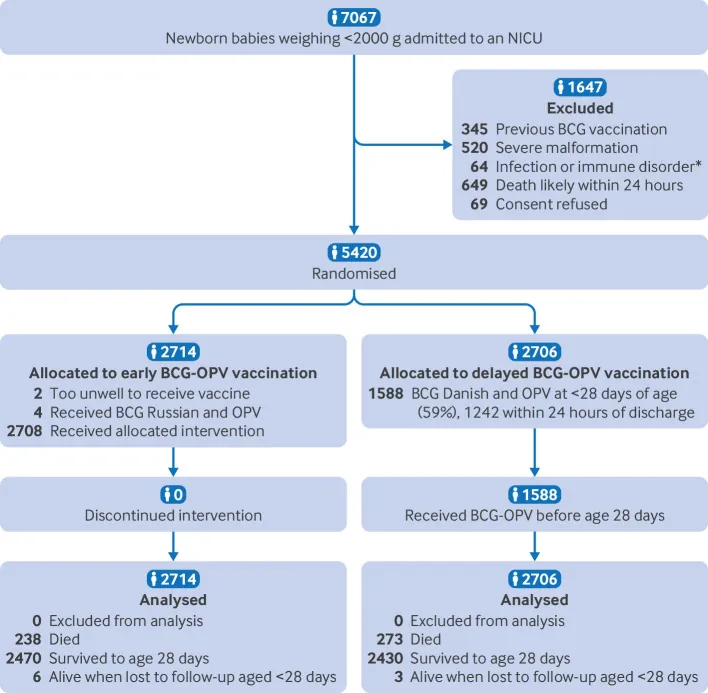 원문 그림 Fig 1: Effect of BCG Danish and oral polio vaccine on neonatal mortality in newborn babies weighing less than 2000 g in India: multicentre open label randomised controlled trial (BLOW2)