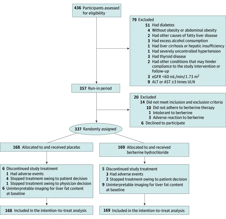 원문 그림 Figure 1.: Berberine and Adiposity in Diabetes-Free Individuals With Obesity and MASLD: A Randomized Clinical Trial