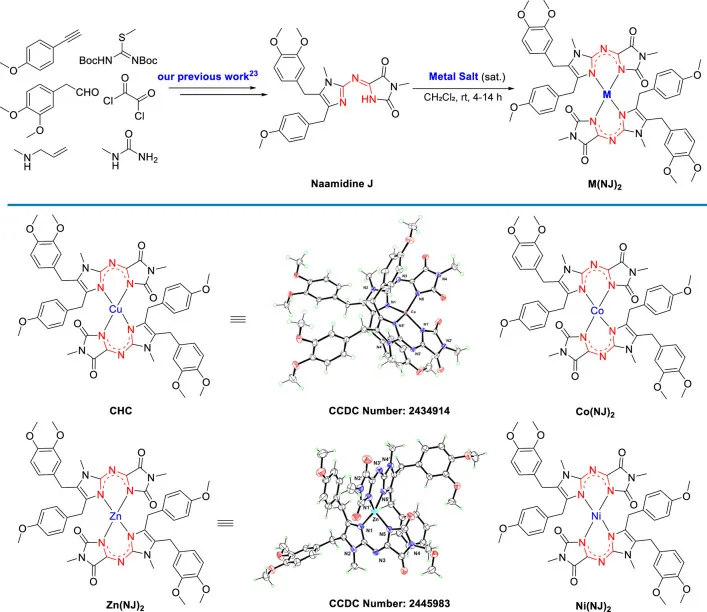 원문 그림 1: Marine Natural Product Chagosendine C Induces Cuproptosis in Colorectal Cancer Cells by Targeting FDX1