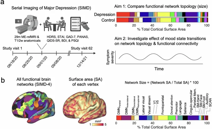 원문 그림 Extended Data Fig. 1: Frontostriatal salience network expansion in individuals in depression