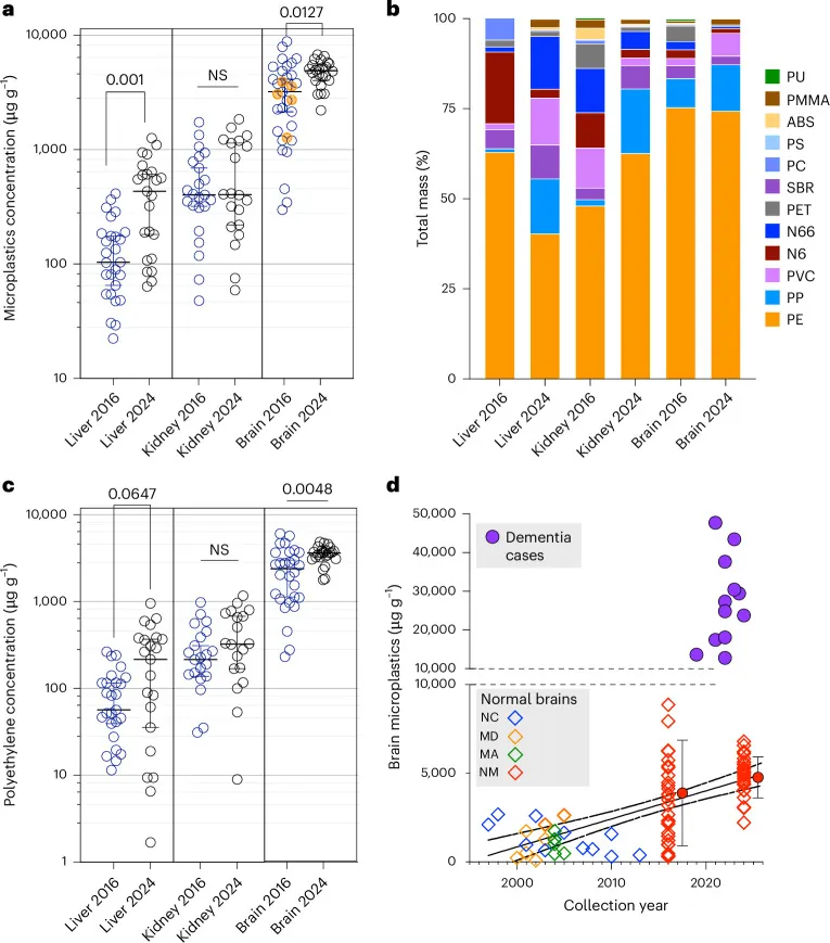 원문 그림 Fig. 1: Bioaccumulation of microplastics in decedent human brains