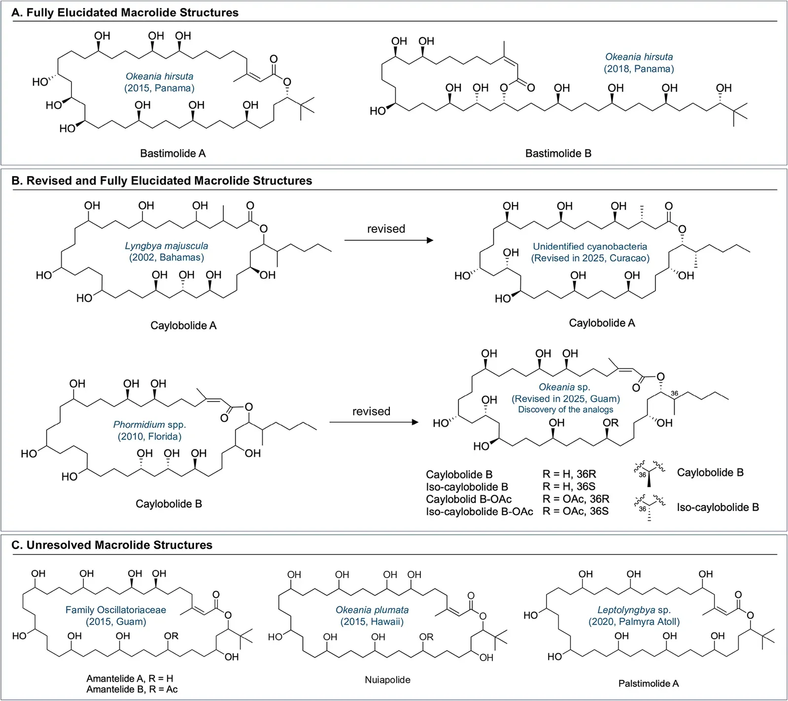 원문 그림 1: Canalesolide A, a Structurally Unique Polyhydroxy Macrolide from the Marine Cyanobacterium Okeania sp. with Potent Antitrypanosomal Activity